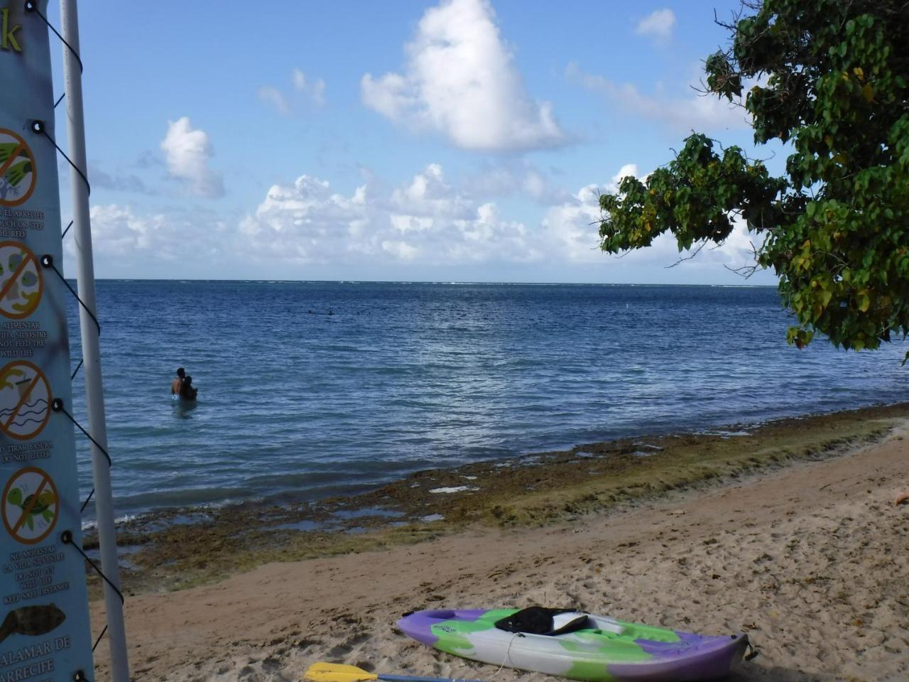 La Casona Beach House Fajardo Zewnętrze zdjęcie